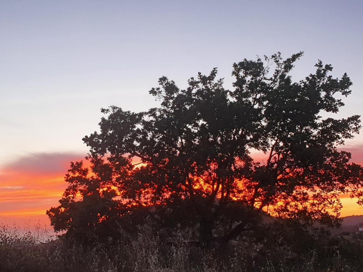 Agriturismo Le Terre Di Venere Acciaroli Εξωτερικό φωτογραφία