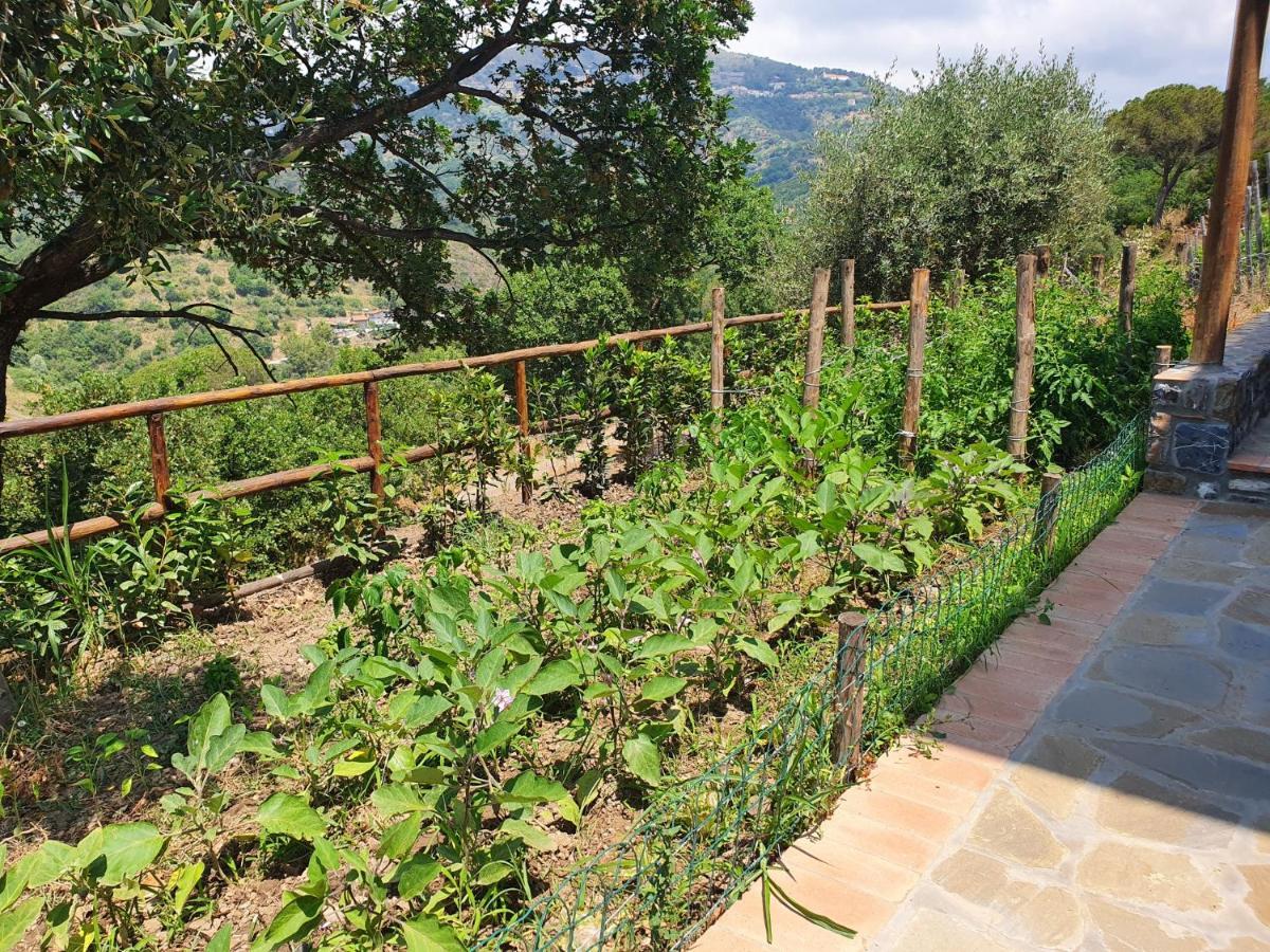 Agriturismo Le Terre Di Venere Acciaroli Εξωτερικό φωτογραφία