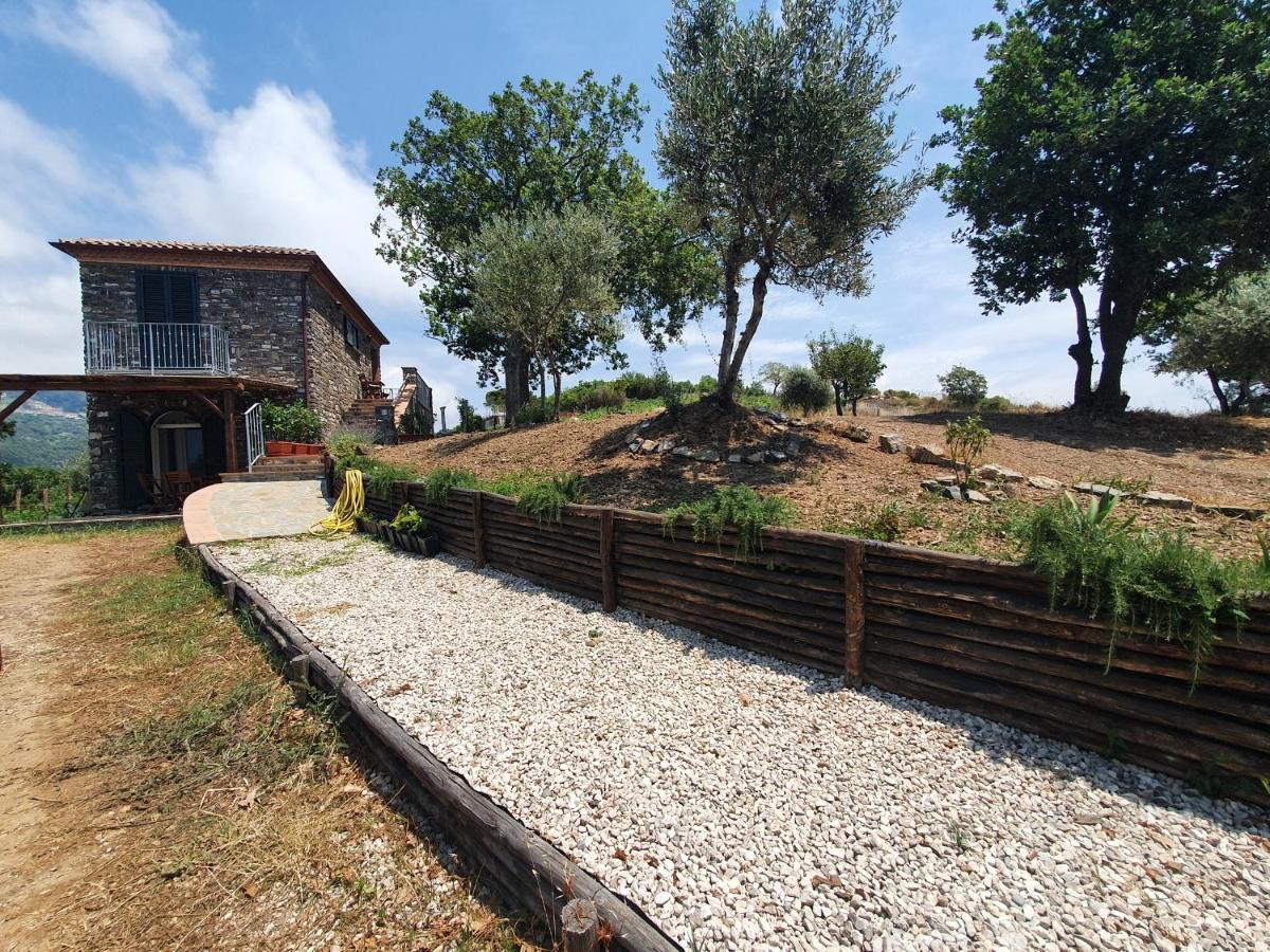 Agriturismo Le Terre Di Venere Acciaroli Εξωτερικό φωτογραφία