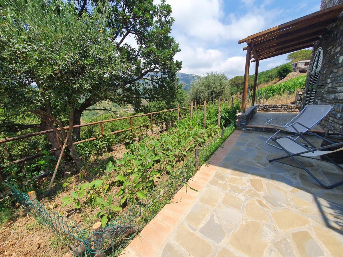 Agriturismo Le Terre Di Venere Acciaroli Εξωτερικό φωτογραφία