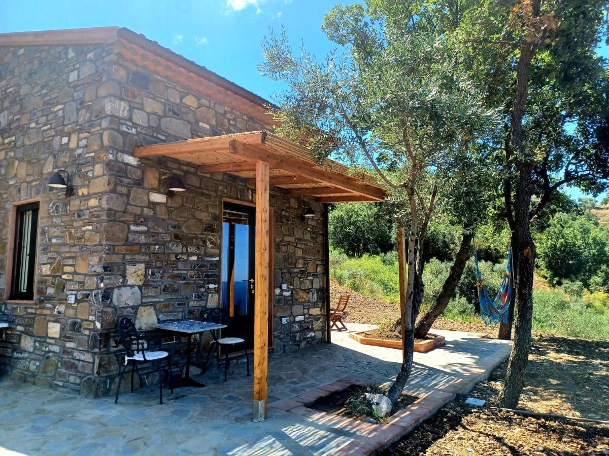 Agriturismo Le Terre Di Venere Acciaroli Εξωτερικό φωτογραφία