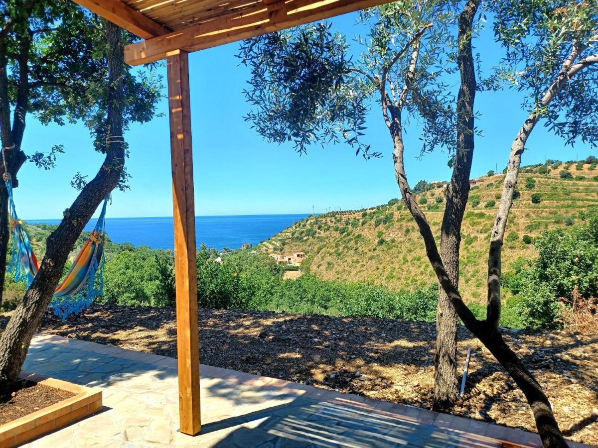 Agriturismo Le Terre Di Venere Acciaroli Εξωτερικό φωτογραφία